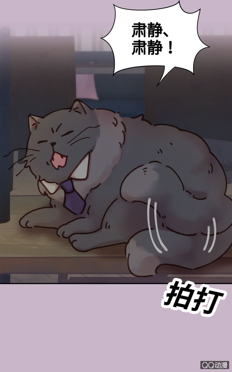 第10杯『猫法庭！』-第12话