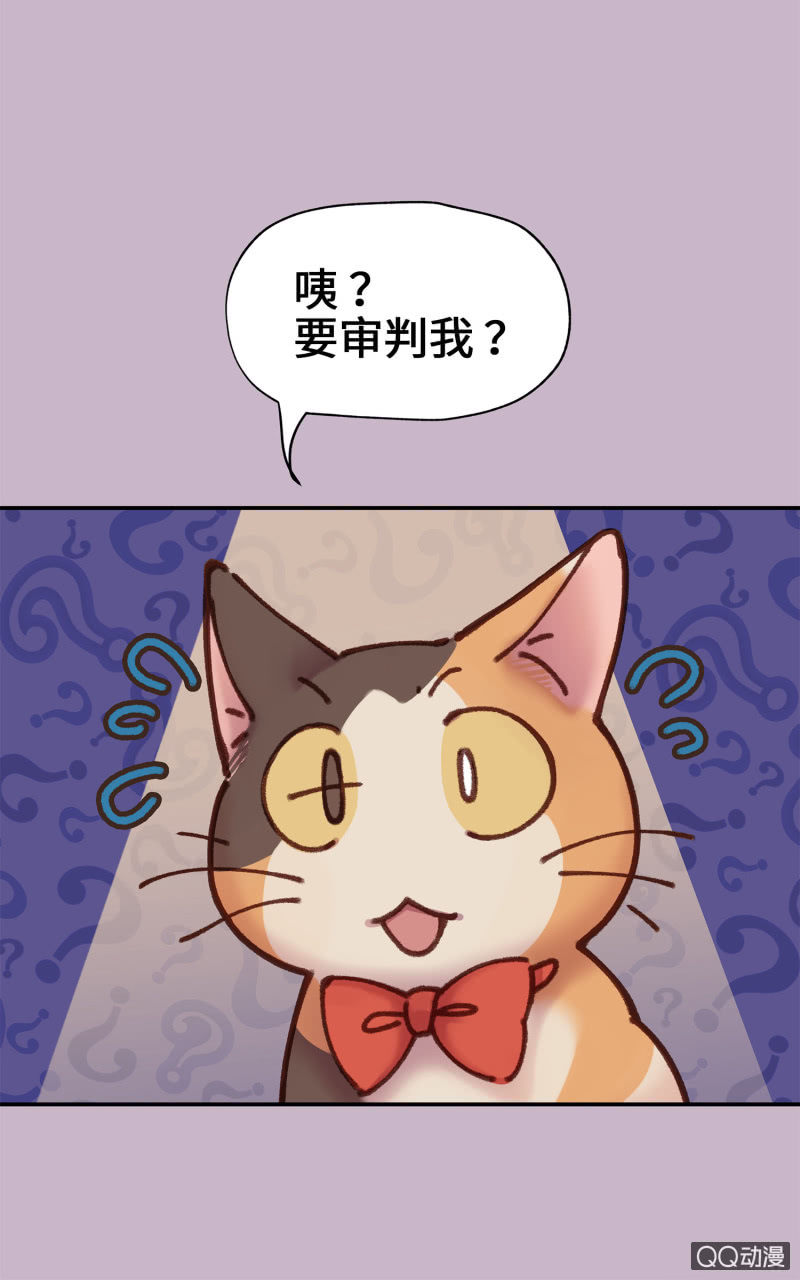 第10杯『猫法庭！』-第12话