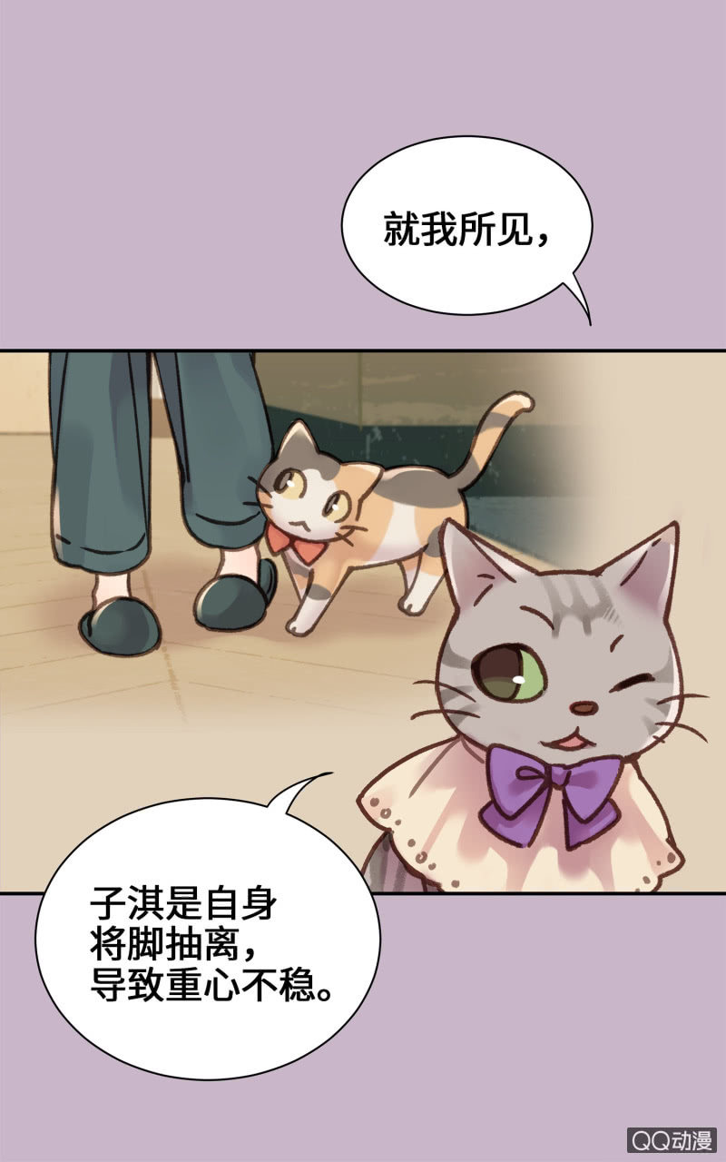 第10杯『猫法庭！』-第12话