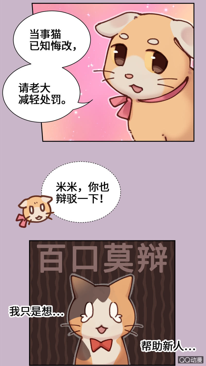 第10杯『猫法庭！』-第12话