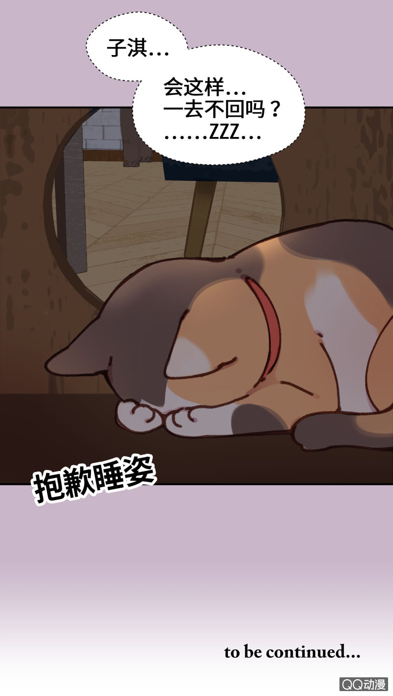 第10杯『猫法庭！』-第12话