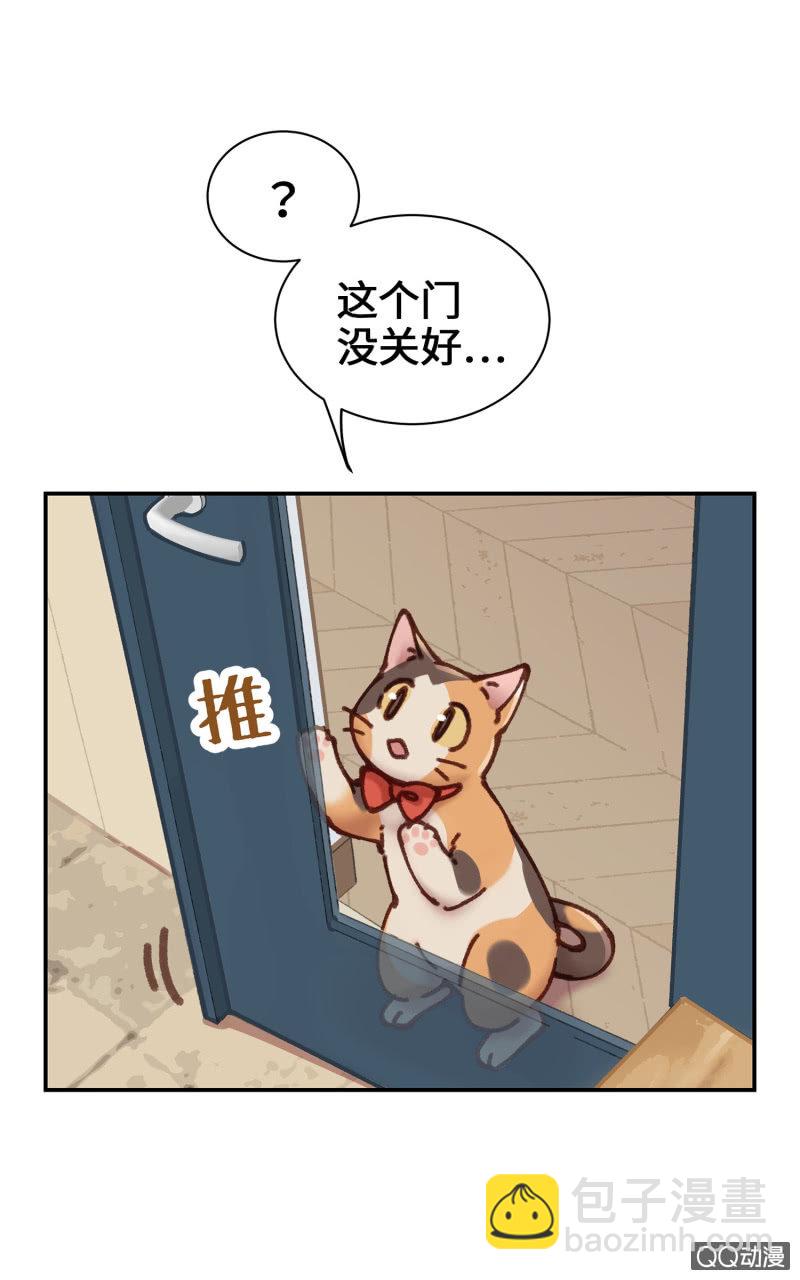 第10杯『猫法庭！』-第12话