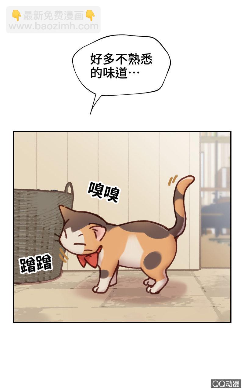 第10杯『猫法庭！』-第12话