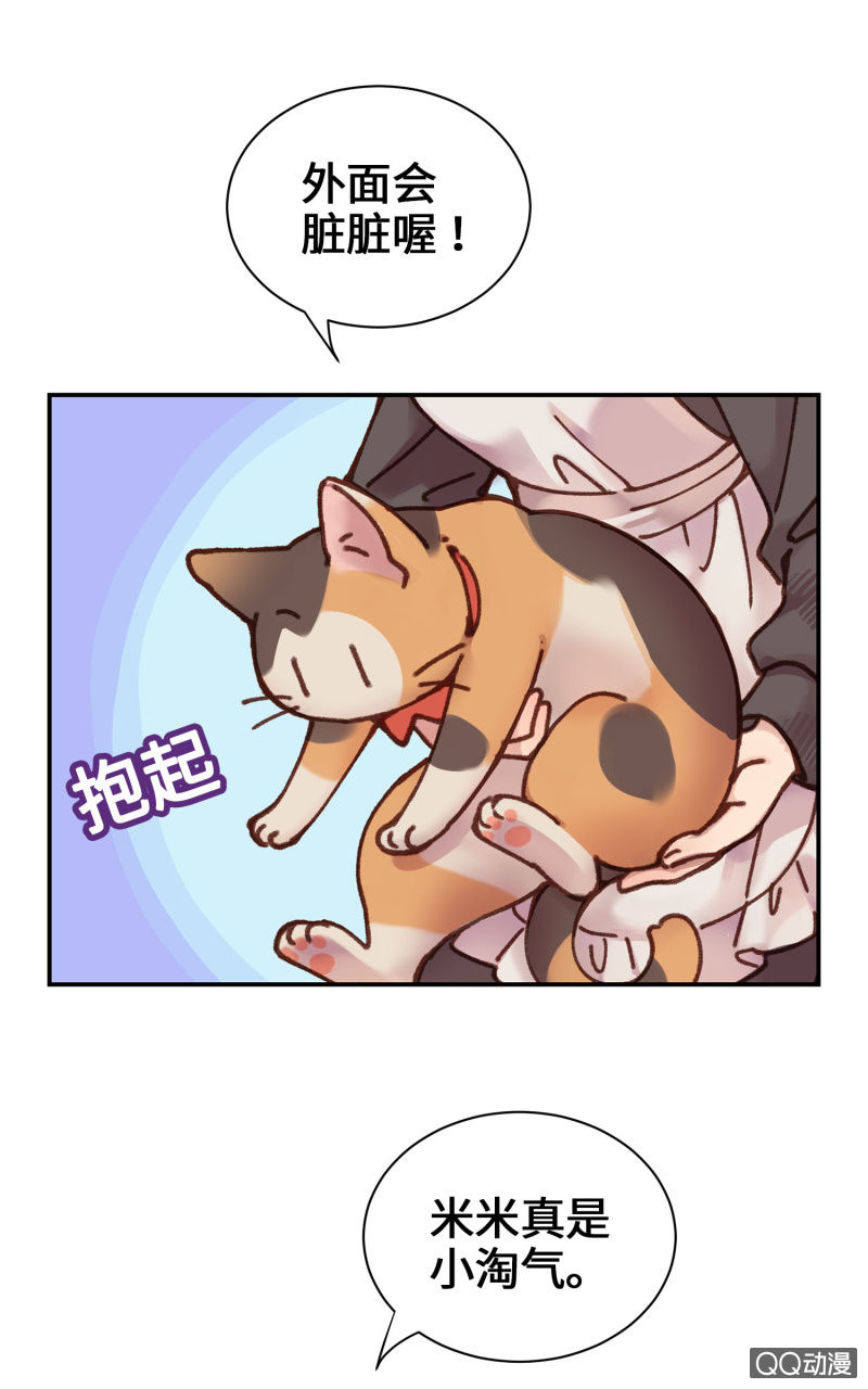 第10杯『猫法庭！』-第12话