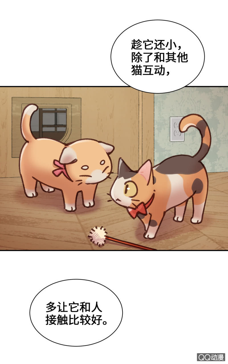 第12杯『说好的保密』-第14话