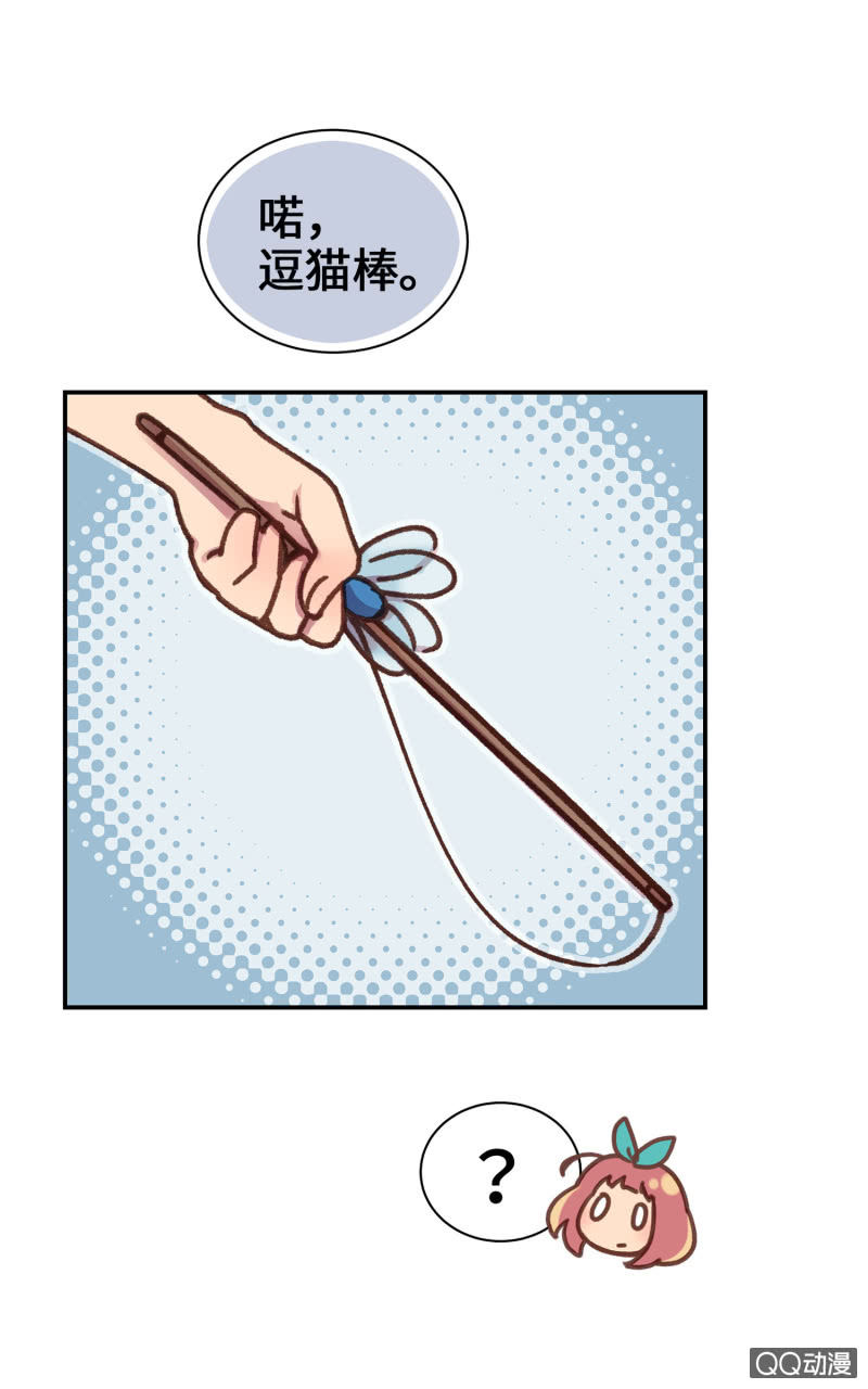 第12杯『说好的保密』-第14话