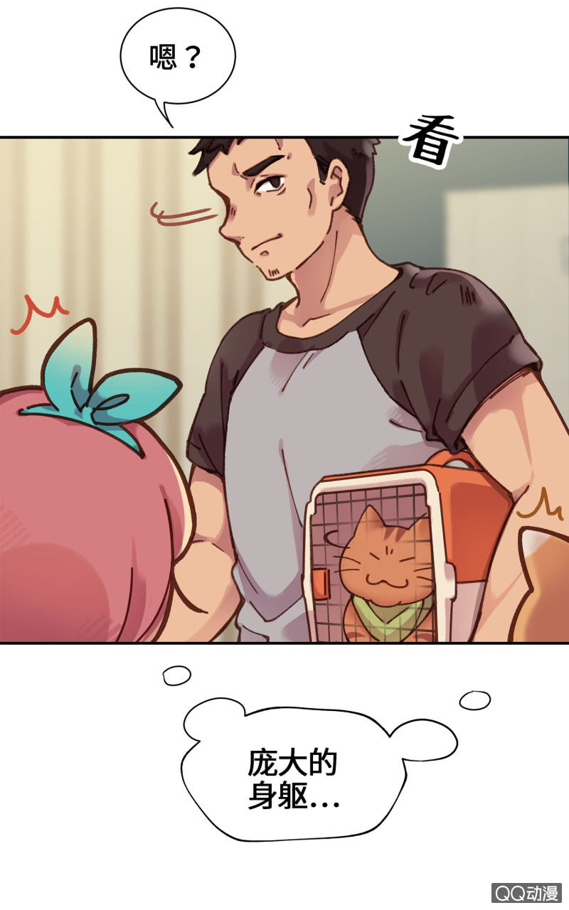 第14杯『椪柑回娘家』-第16话