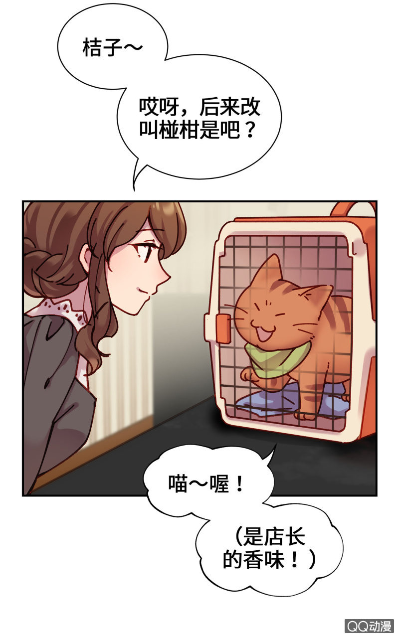 第14杯『椪柑回娘家』-第16话