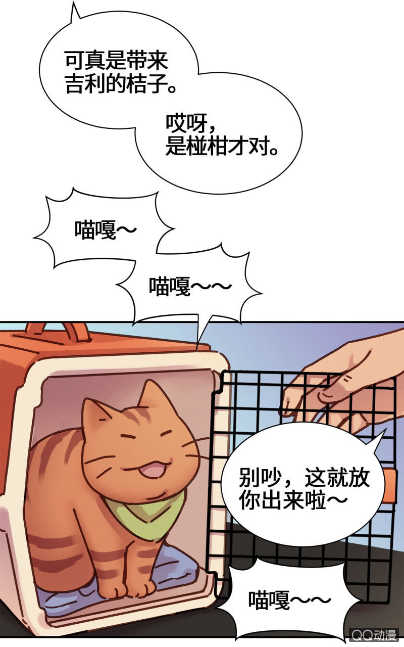 第14杯『椪柑回娘家』-第16话