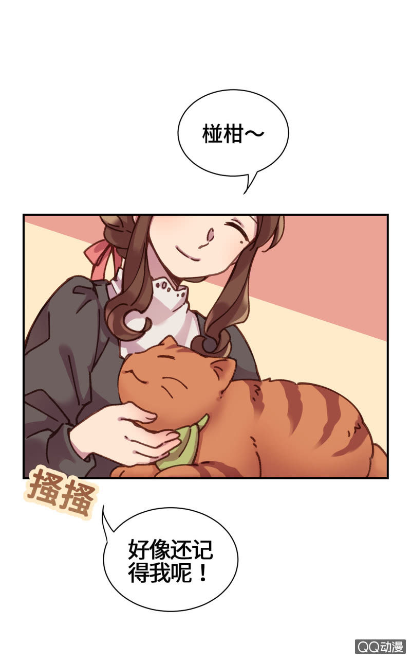 第14杯『椪柑回娘家』-第16话