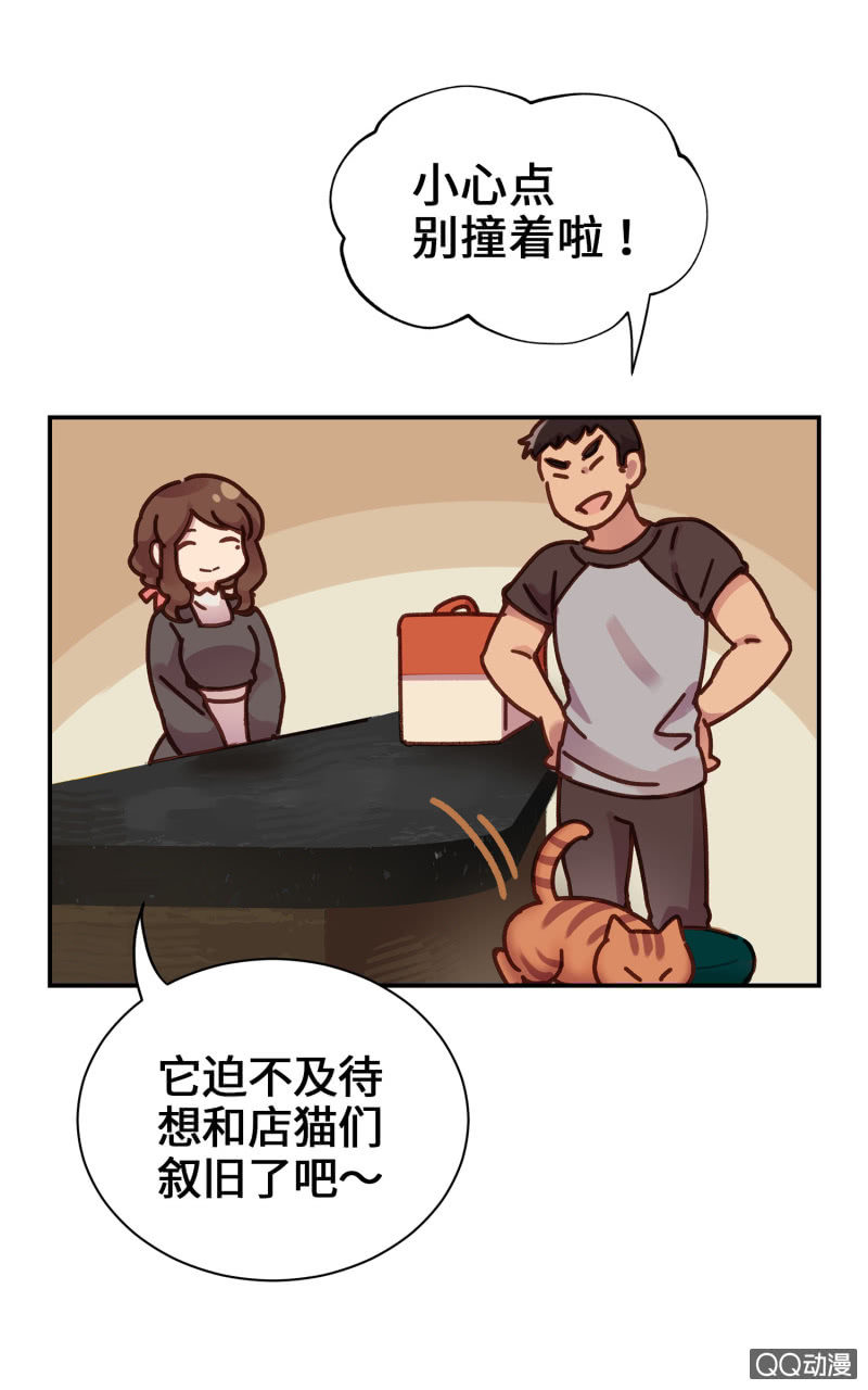 第14杯『椪柑回娘家』-第16话