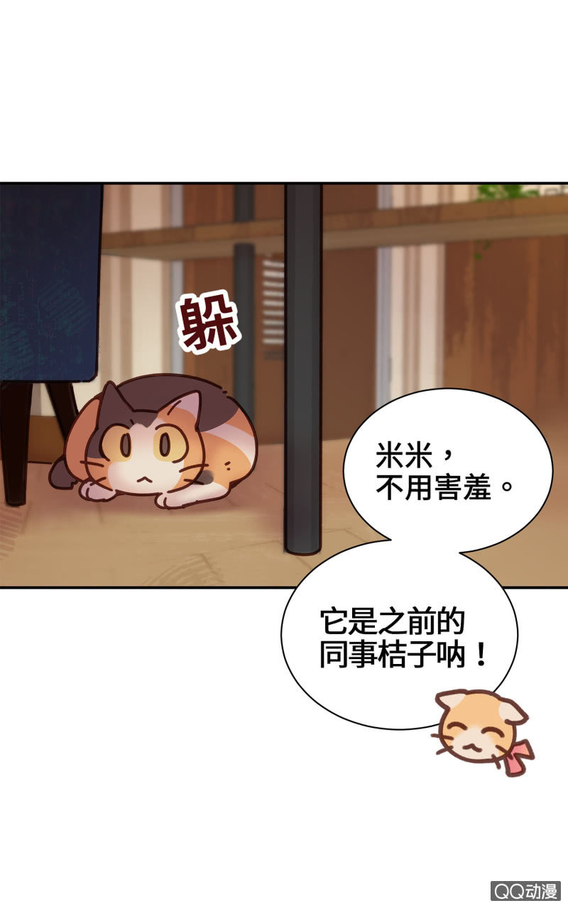 第14杯『椪柑回娘家』-第16话