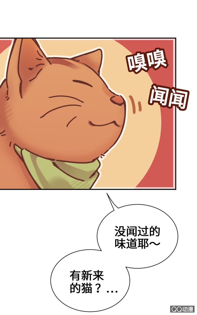 第14杯『椪柑回娘家』-第16话