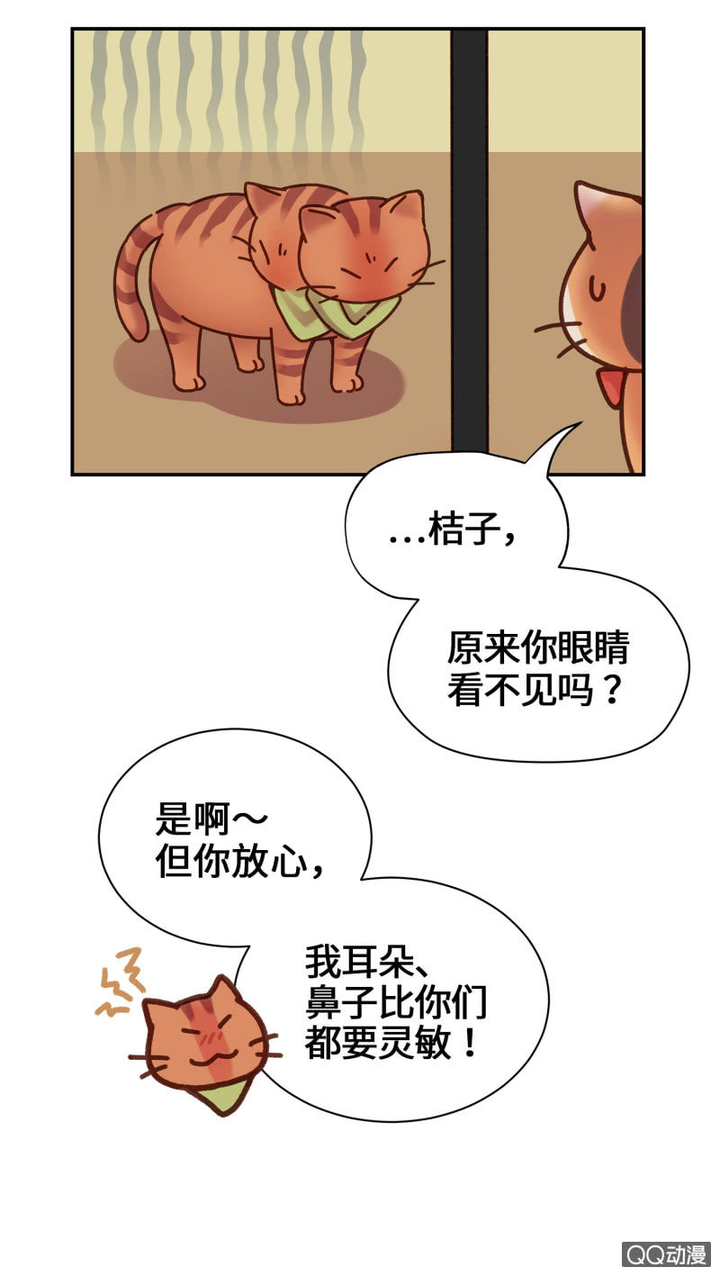 第14杯『椪柑回娘家』-第16话