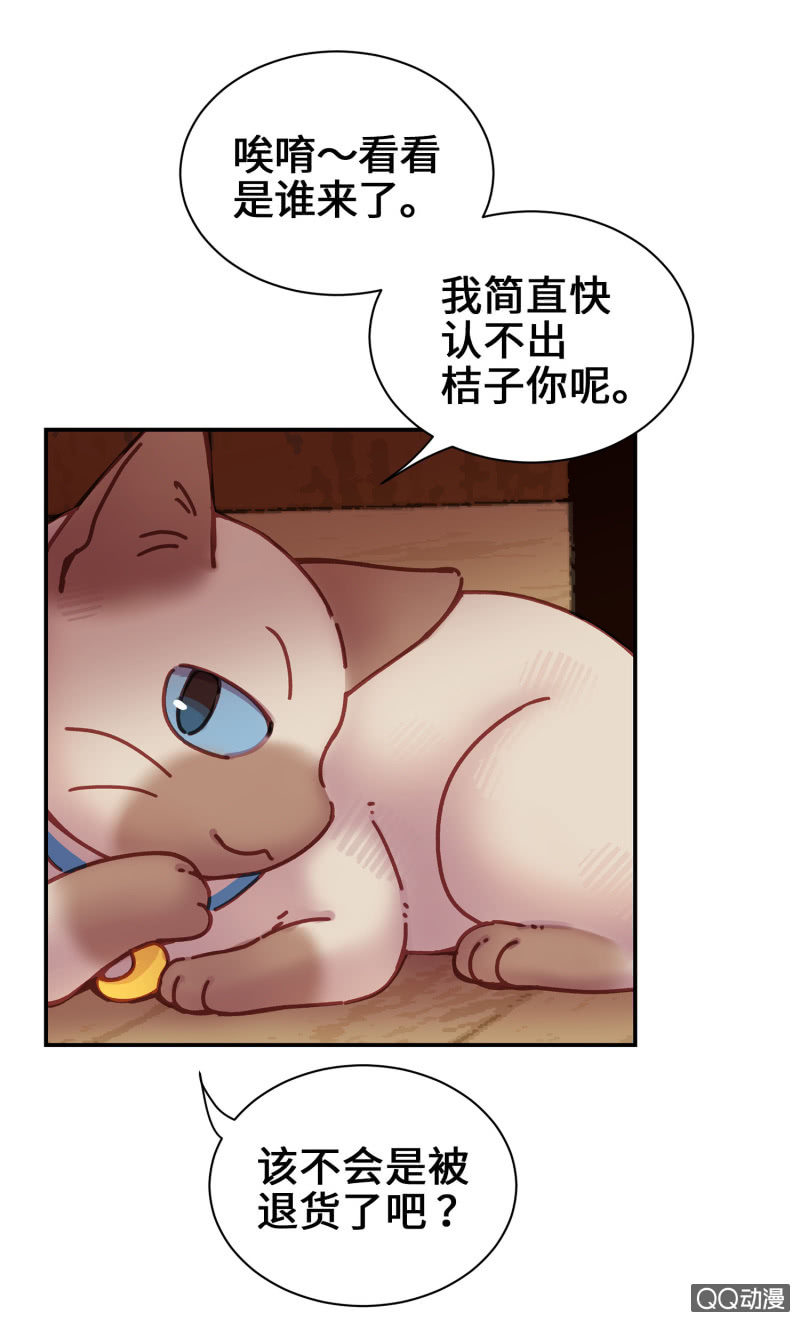 第14杯『椪柑回娘家』-第16话