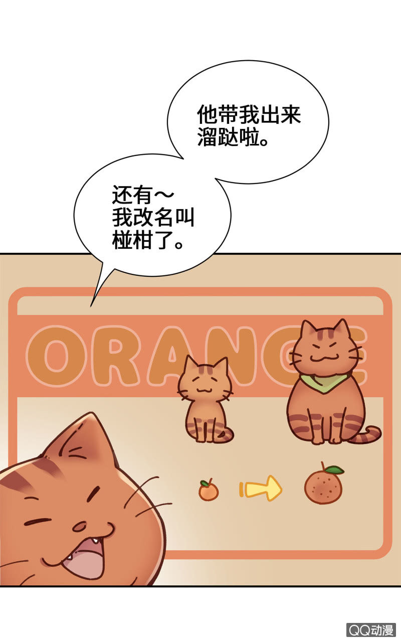 第14杯『椪柑回娘家』-第16话