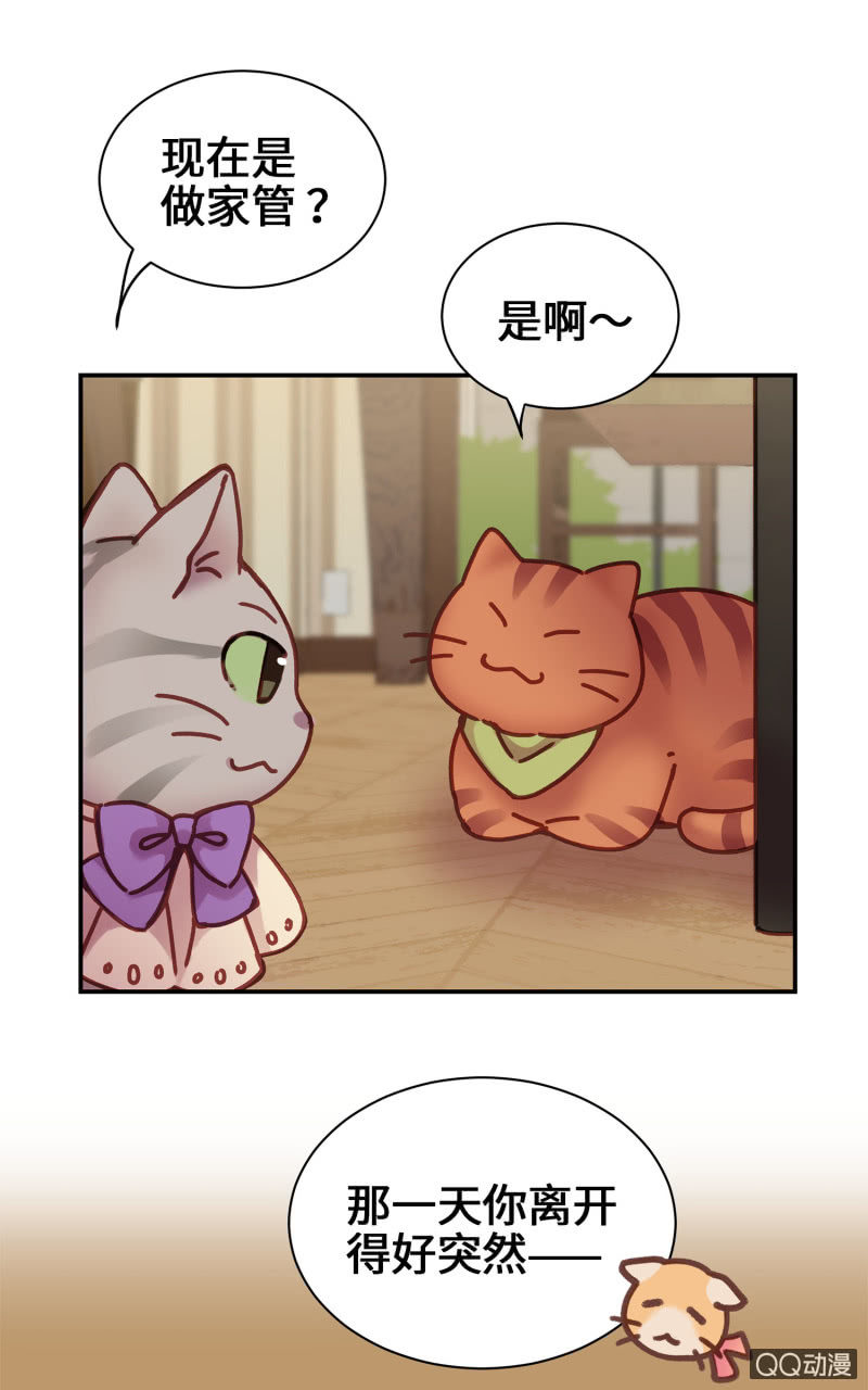 第14杯『椪柑回娘家』-第16话