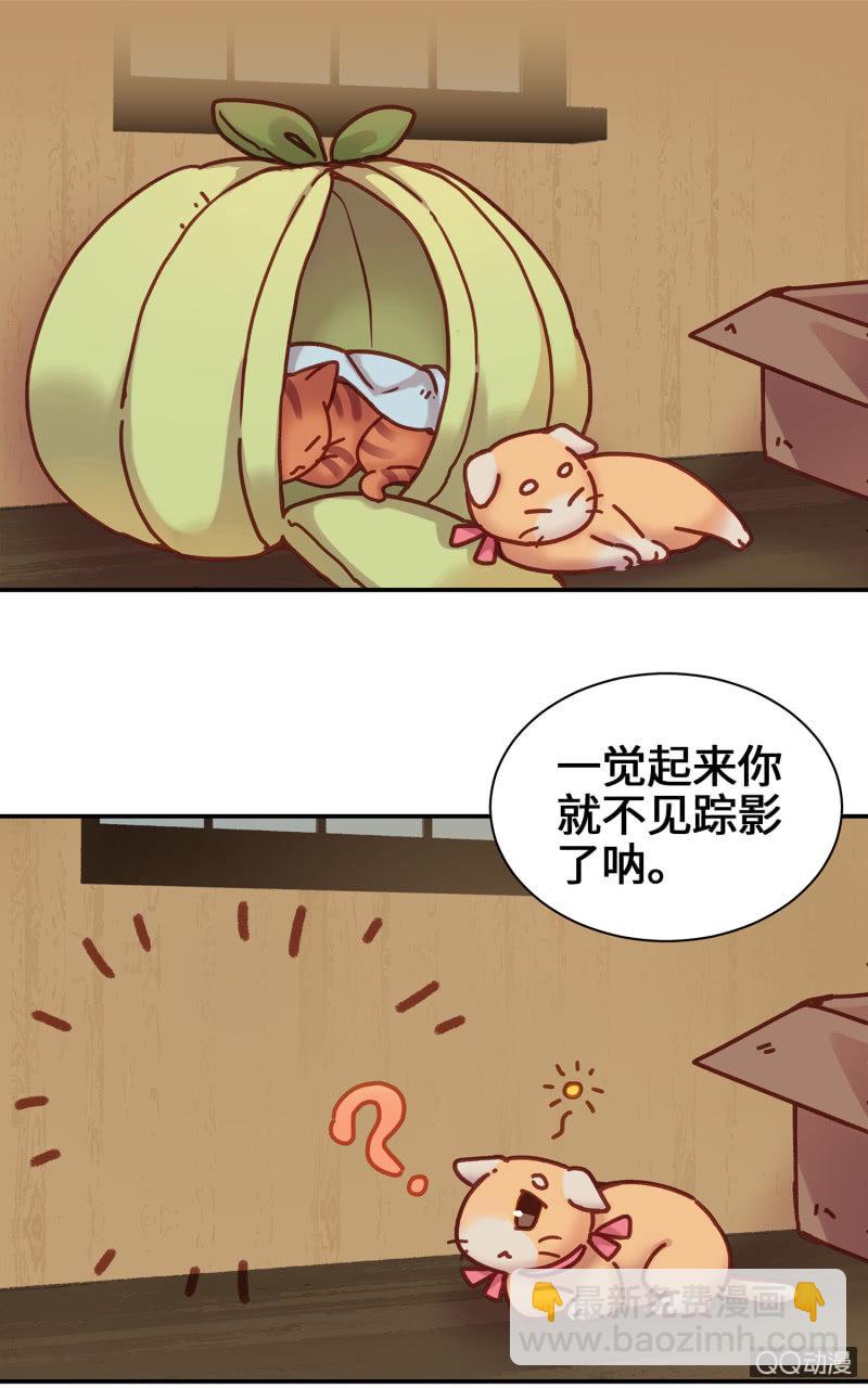 第14杯『椪柑回娘家』-第16话