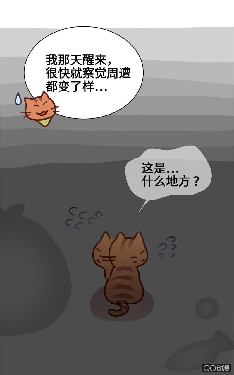 第14杯『椪柑回娘家』-第16话