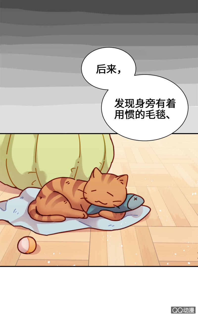 第14杯『椪柑回娘家』-第16话