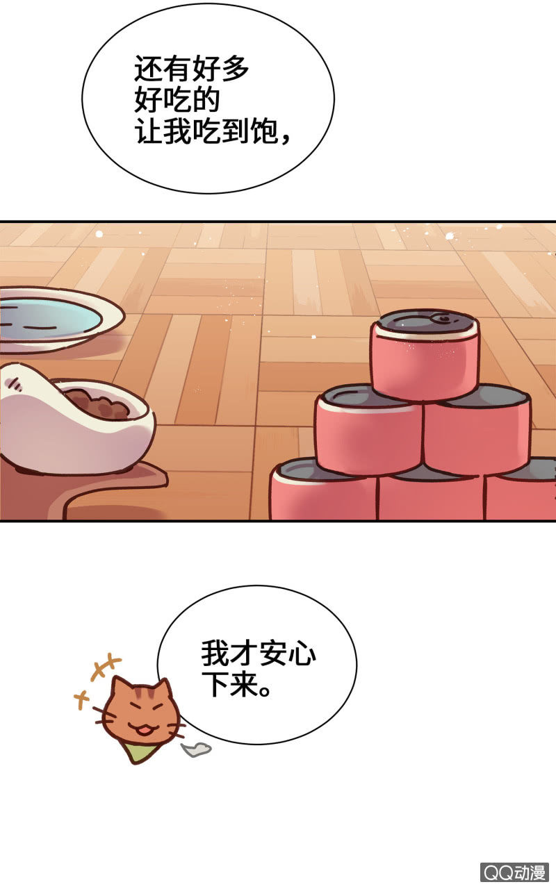 第14杯『椪柑回娘家』-第16话