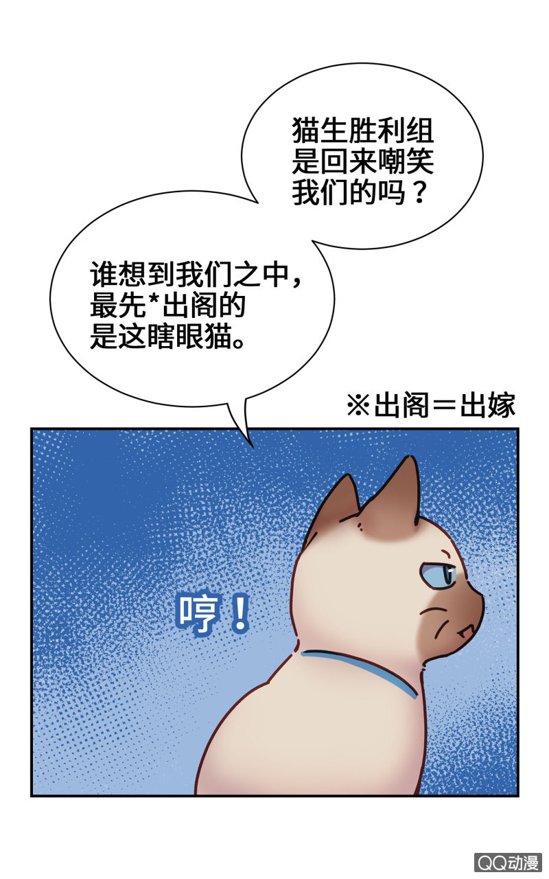 第14杯『椪柑回娘家』-第16话