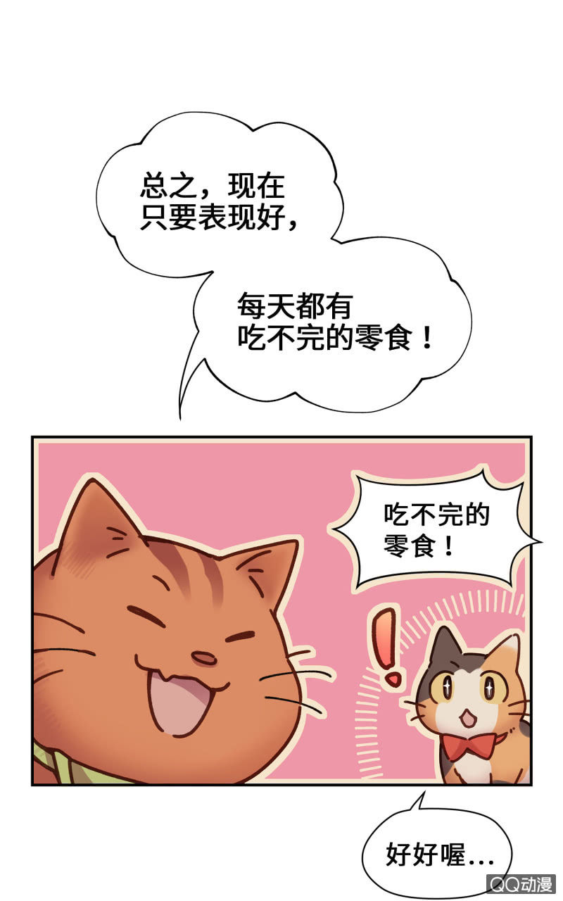 第14杯『椪柑回娘家』-第16话