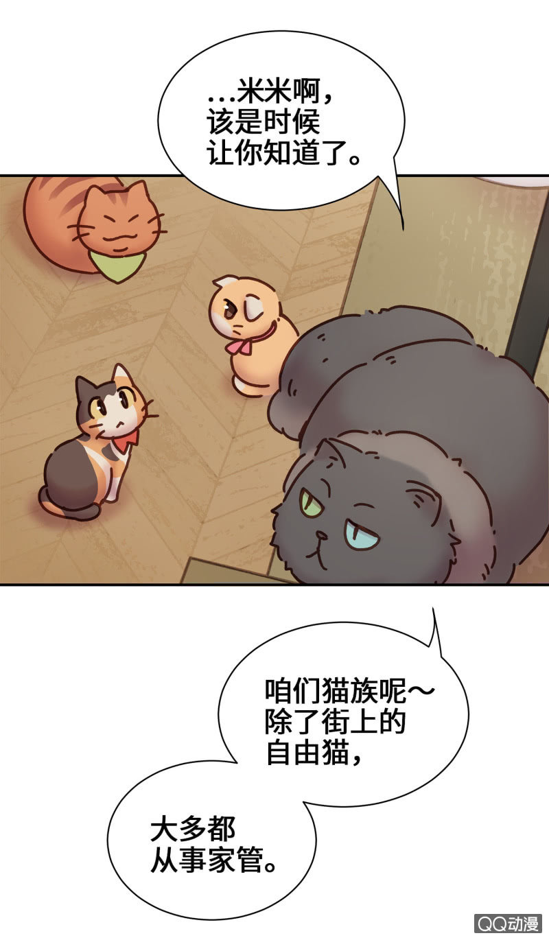 第14杯『椪柑回娘家』-第16话