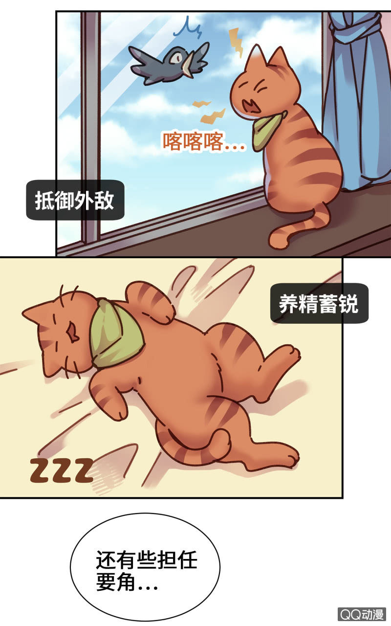 第14杯『椪柑回娘家』-第16话