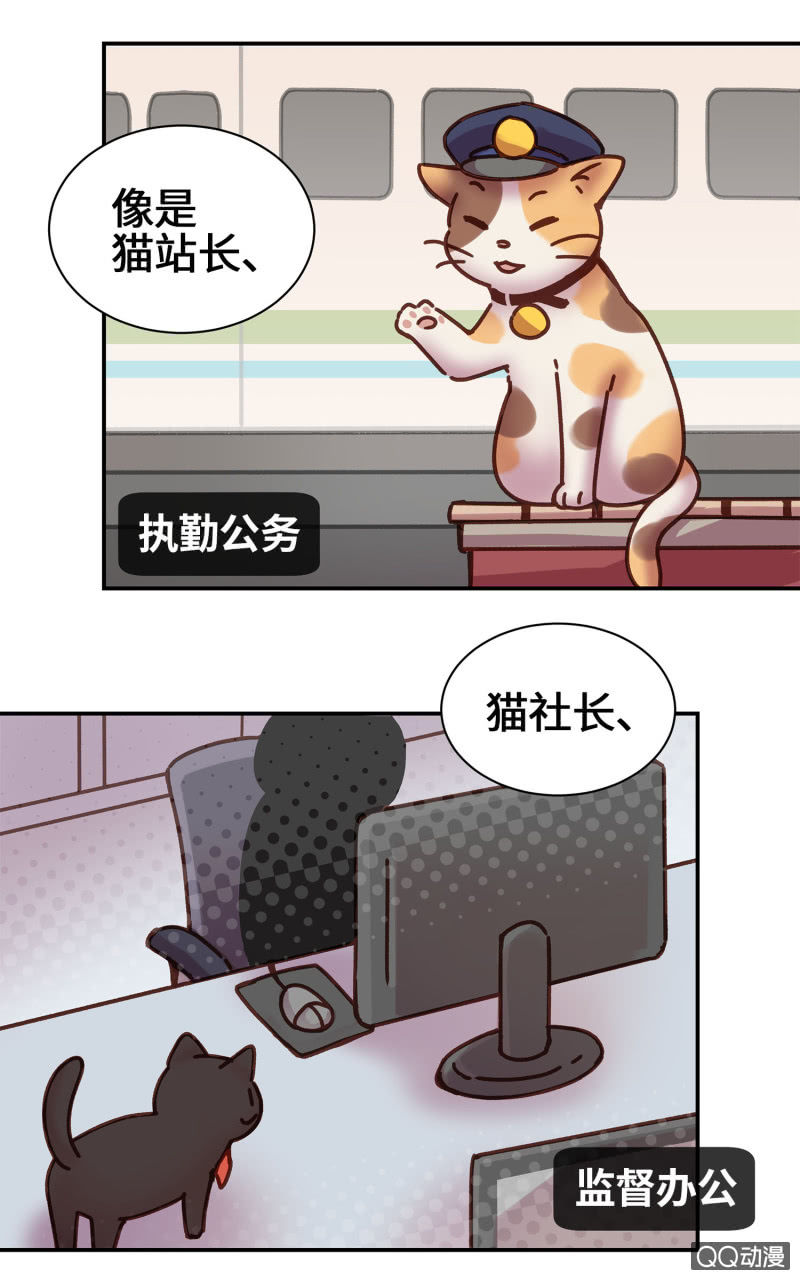 第14杯『椪柑回娘家』-第16话