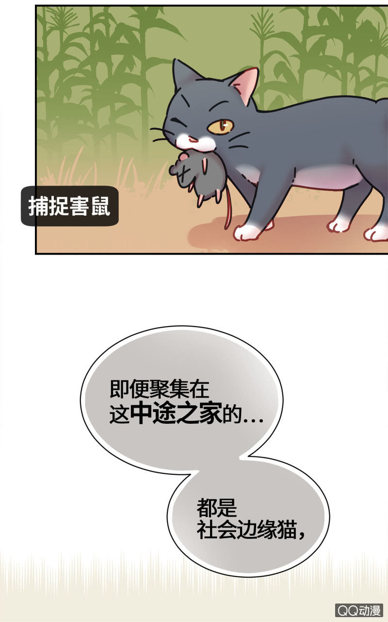 第14杯『椪柑回娘家』-第16话