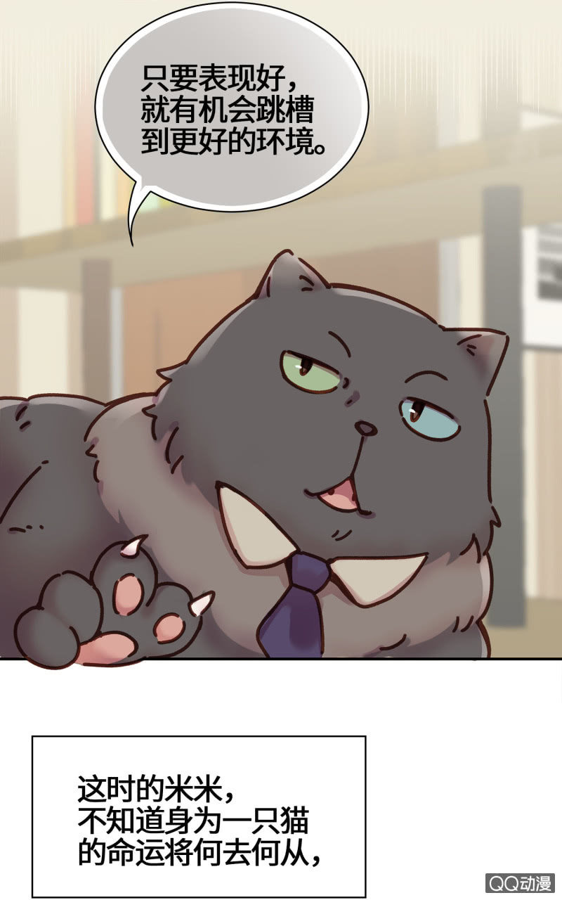 第14杯『椪柑回娘家』-第16话