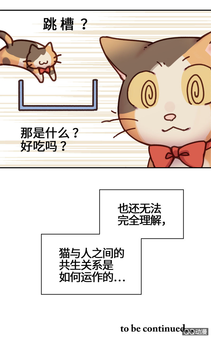 第14杯『椪柑回娘家』-第16话