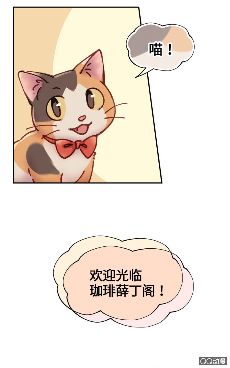 第14杯『椪柑回娘家』-第16话