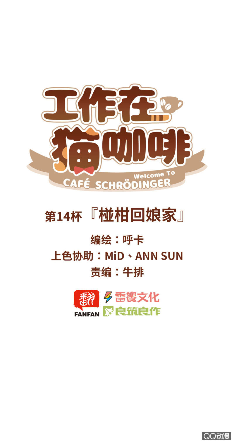 第14杯『椪柑回娘家』-第16话