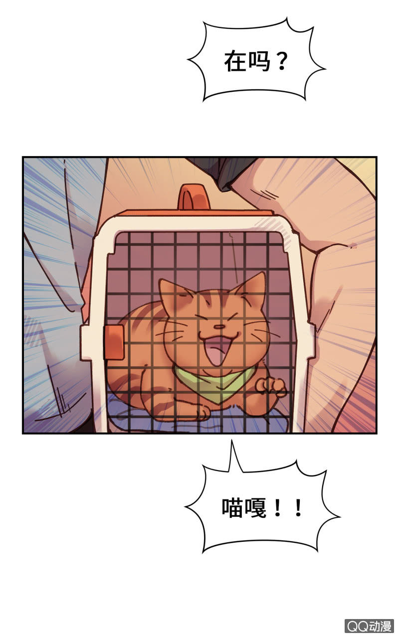 第14杯『椪柑回娘家』-第16话