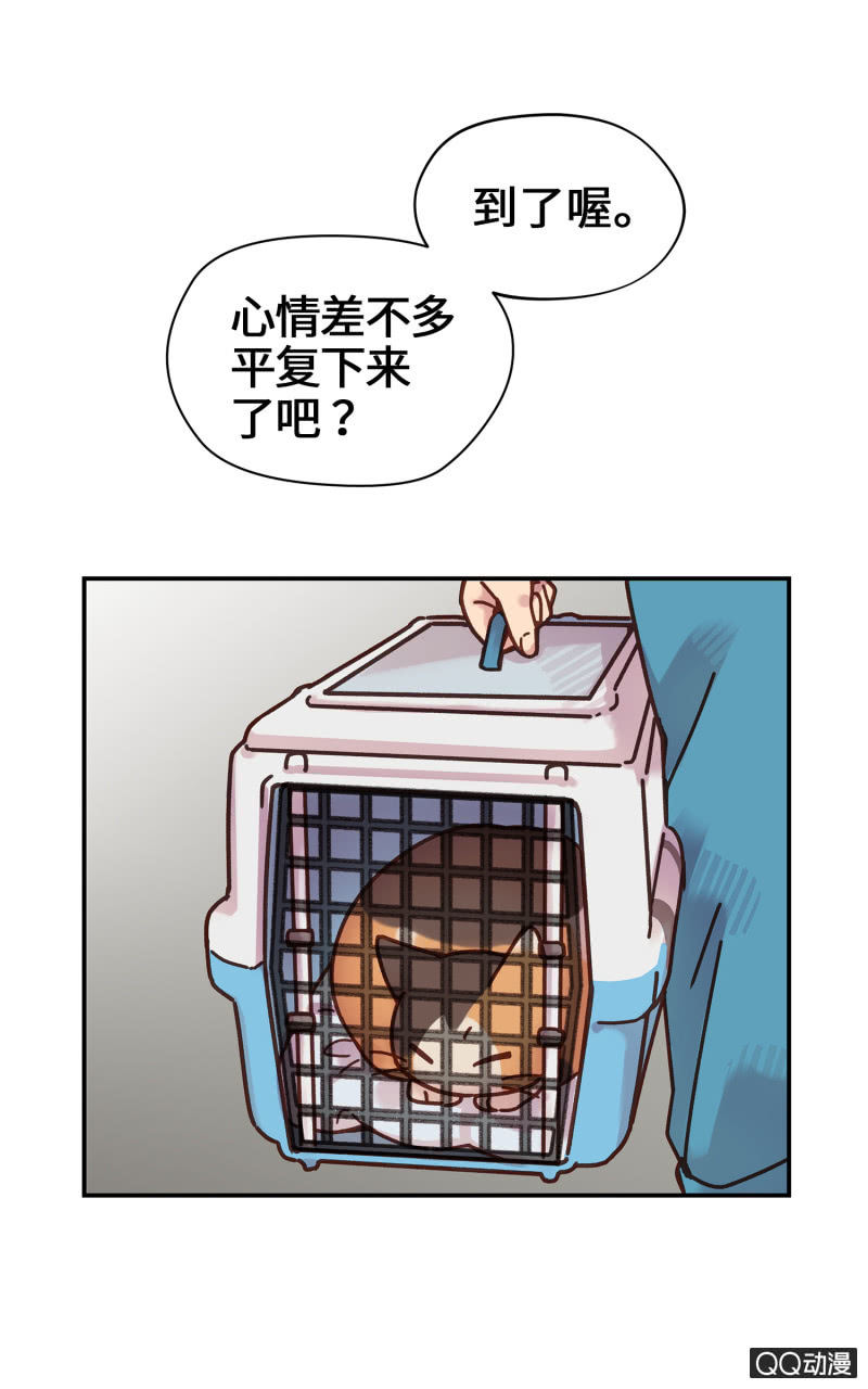 第16杯『出差去』-第18话