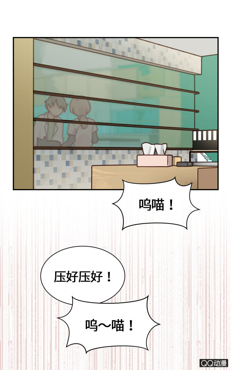 第16杯『出差去』-第18话