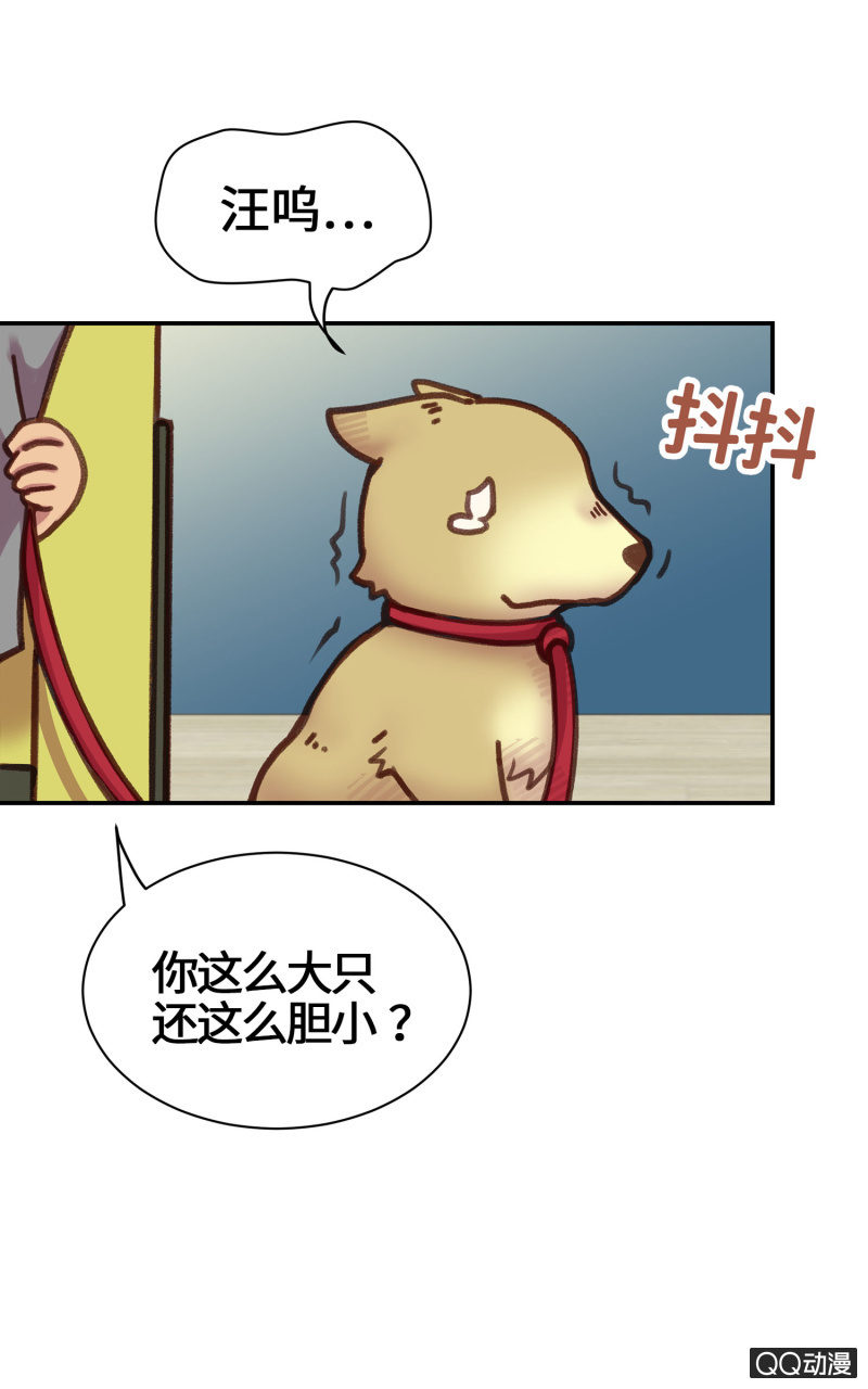 第16杯『出差去』-第18话