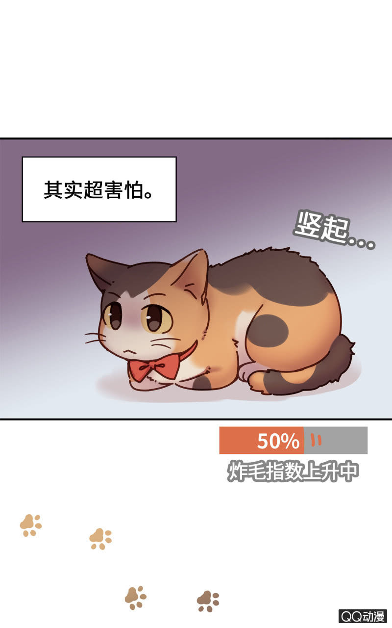 第16杯『出差去』-第18话