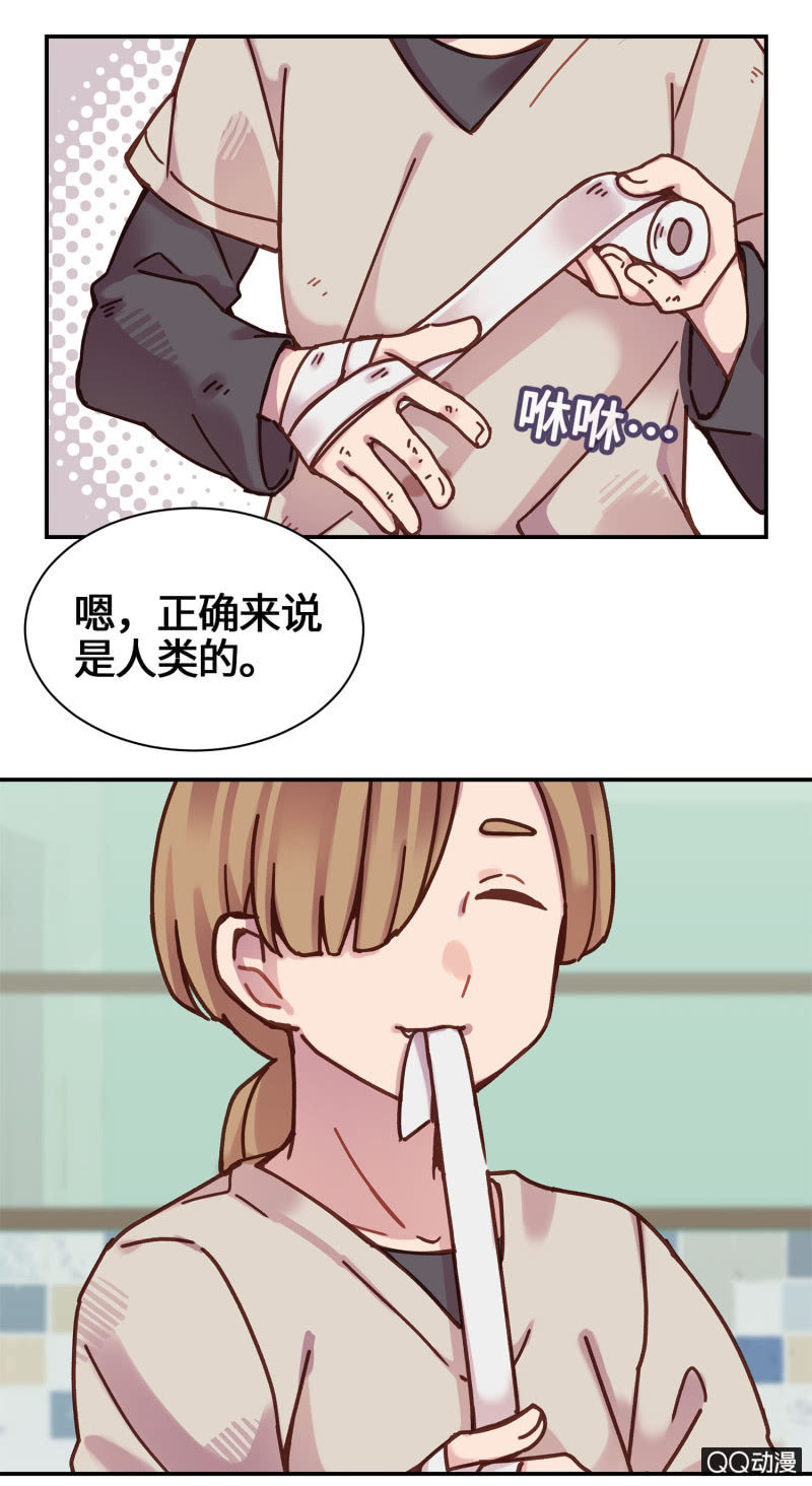 第16杯『出差去』-第18话