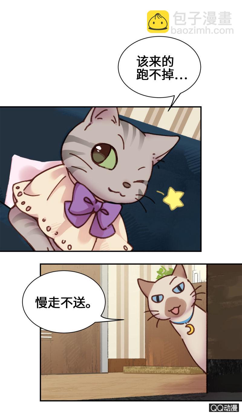 第16杯『出差去』-第18话