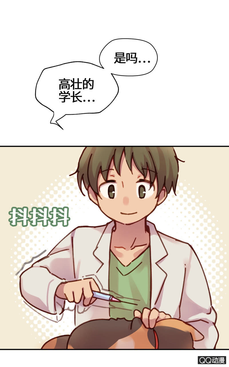 第18杯『八卦午茶时光』-第20话