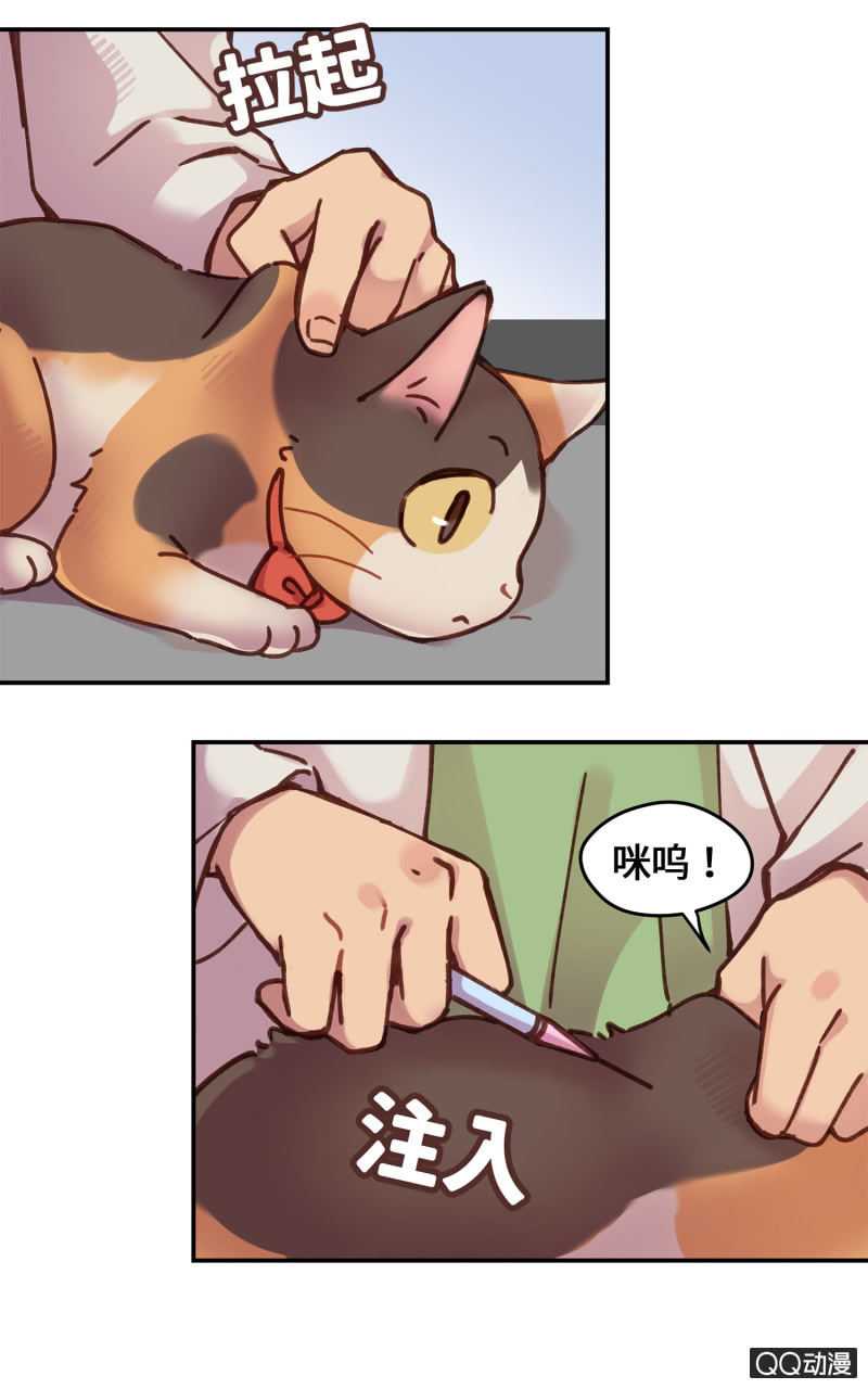 第18杯『八卦午茶时光』-第20话