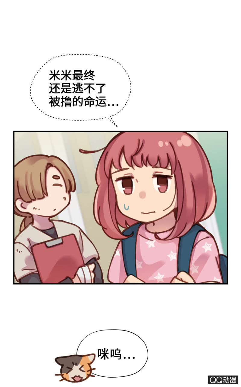 第18杯『八卦午茶时光』-第20话