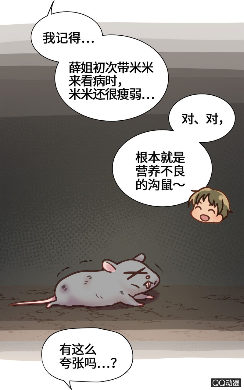 第18杯『八卦午茶时光』-第20话