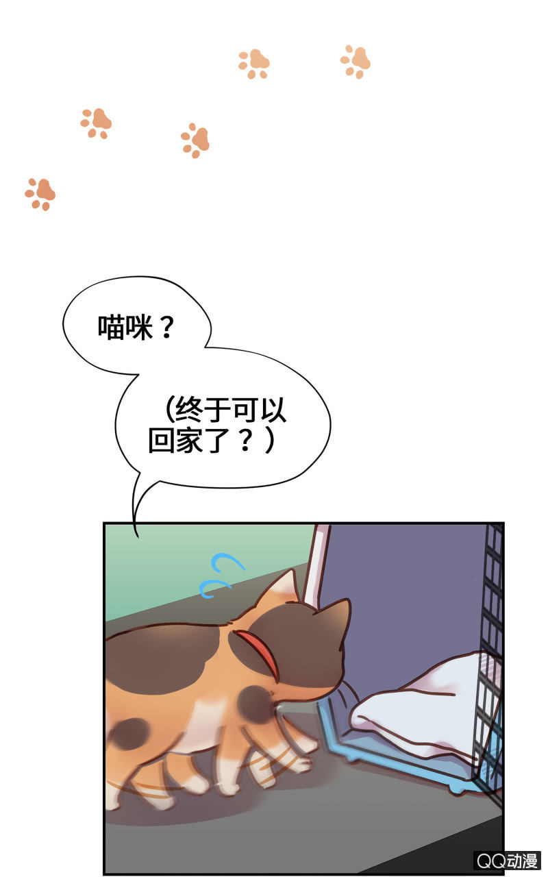 第18杯『八卦午茶时光』-第20话