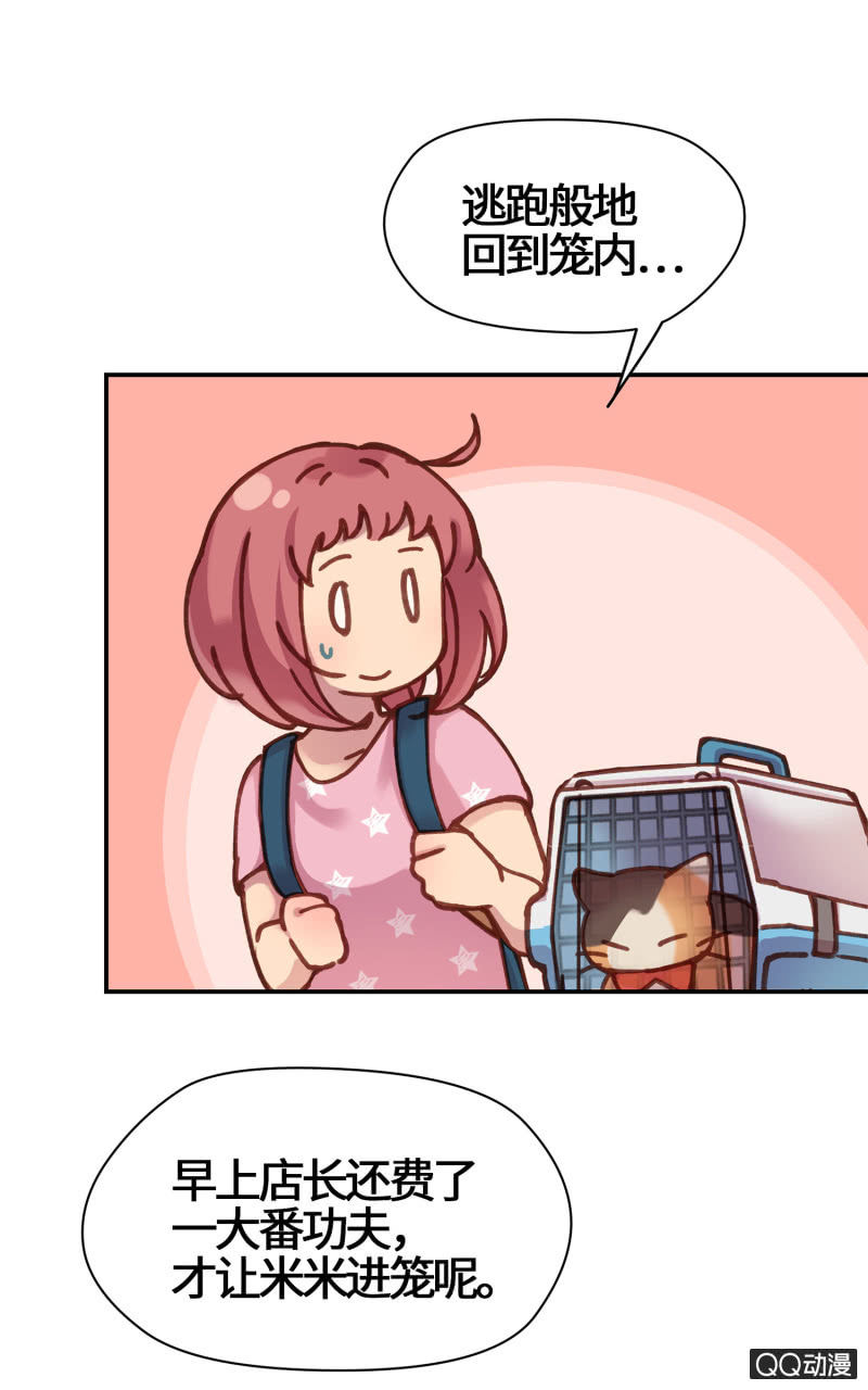 第18杯『八卦午茶时光』-第20话