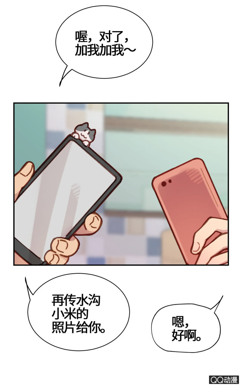 第18杯『八卦午茶时光』-第20话