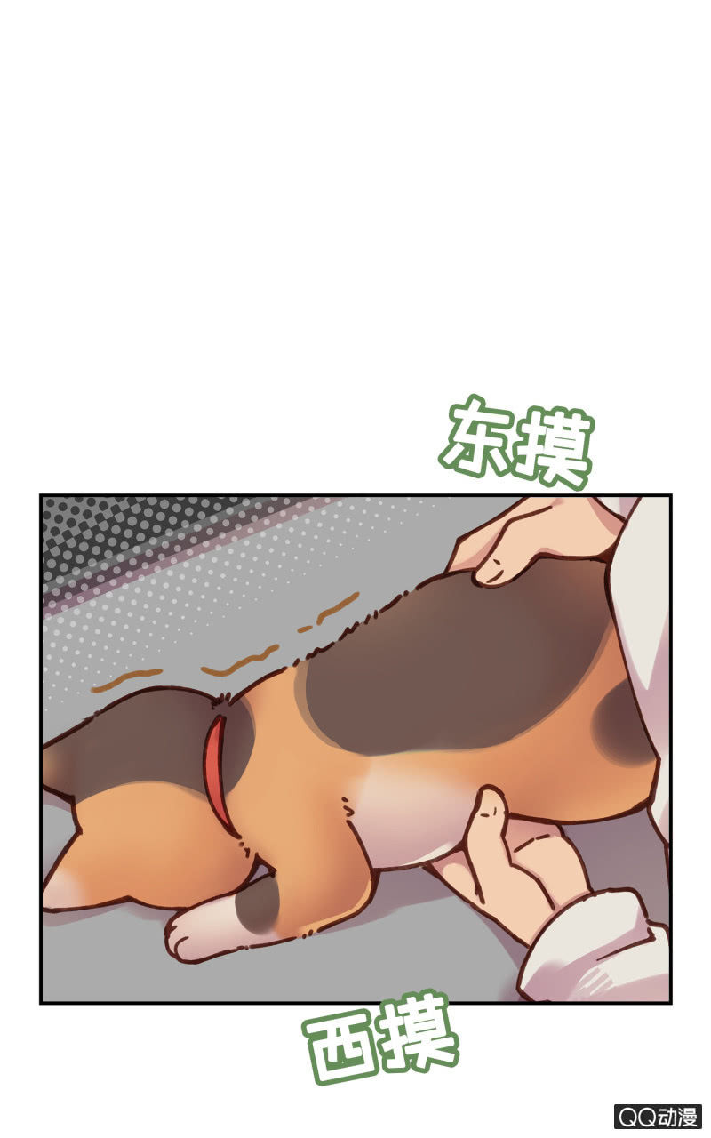 第18杯『八卦午茶时光』-第20话